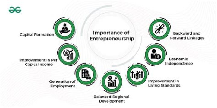 What is the importance of entrepreneur class 10?