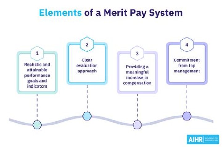 What is the importance of the merit system Why is it important to the functioning of a professional bureaucracy?