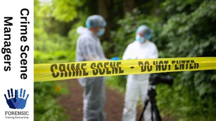 What is the job called when you investigate dead bodies?
