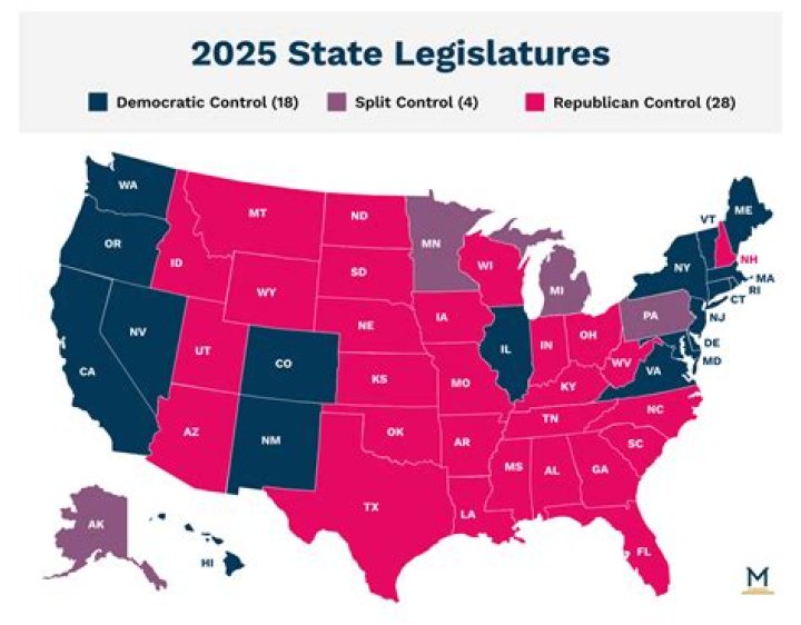 What is the job of national and state legislatures?