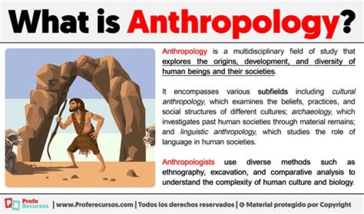 What is the job of the anthropologists what do they seek to discover?