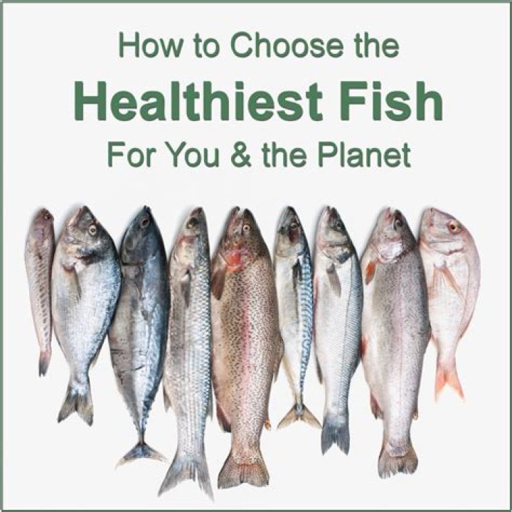 What is the least healthiest fish?