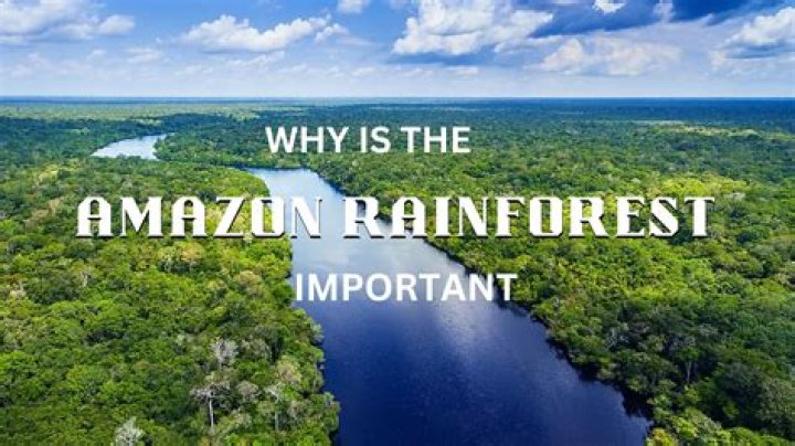 What is the main challenge to the Amazon rainforest?