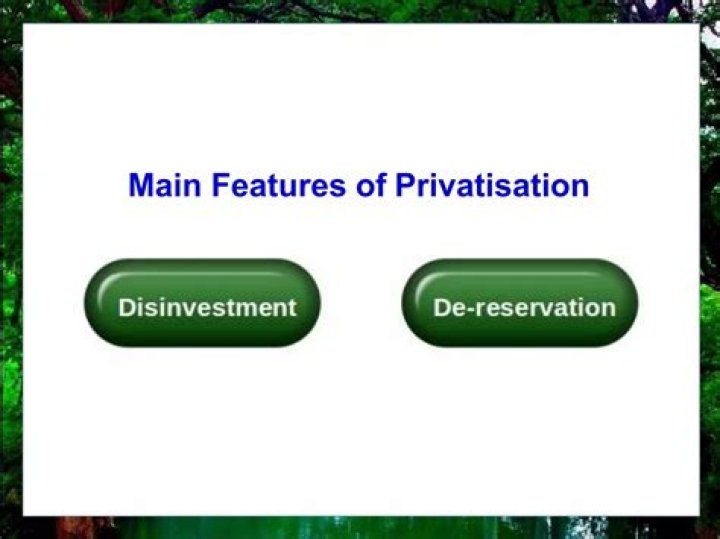 What is the main features of privatisation?