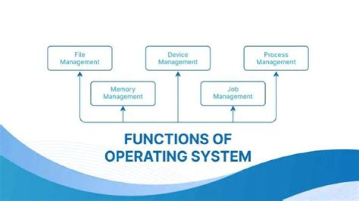 What is the main function of software?