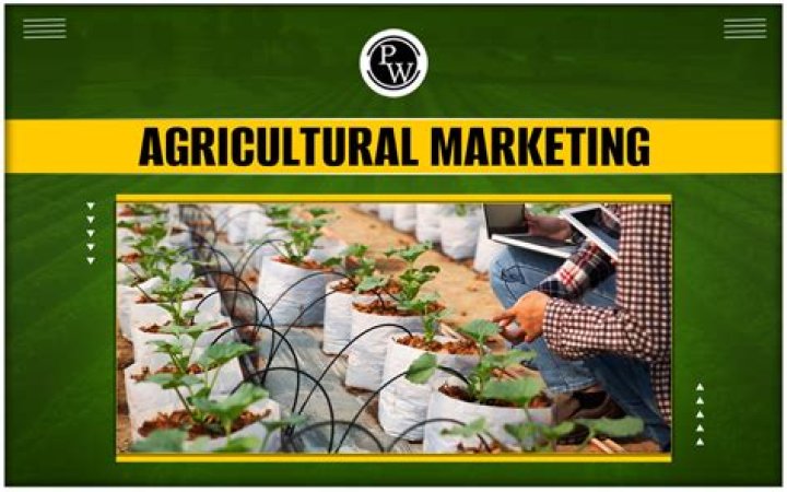 What is the meaning of Agricultural Marketing?