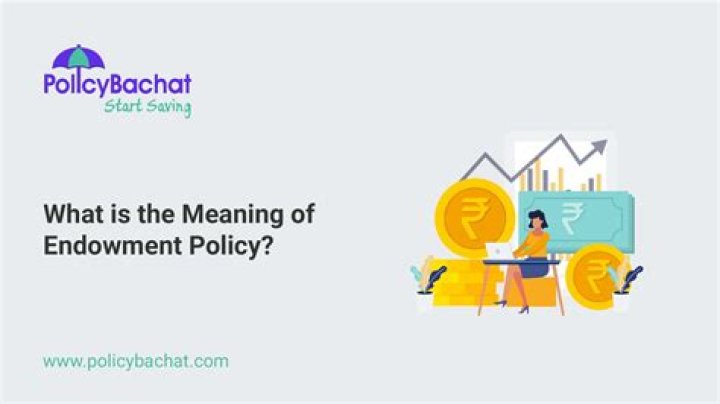 What is the meaning of endowment policy?