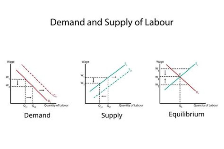 What is the meaning of labour in economics?