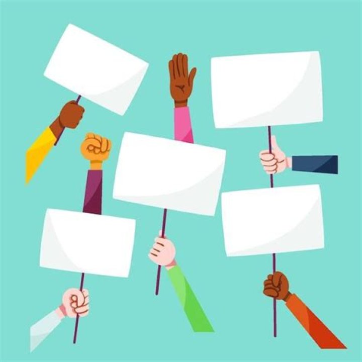 What is the meaning of social criticism?