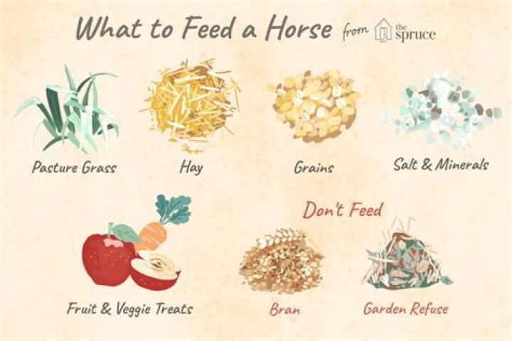 What is the most nutritious hay for horses?
