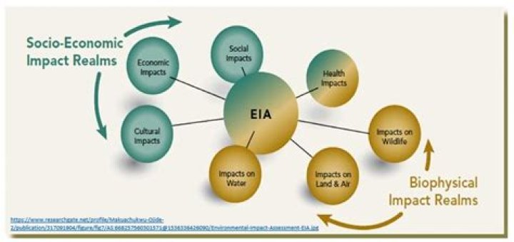 What is the need of international marketing how it is different from international trade?