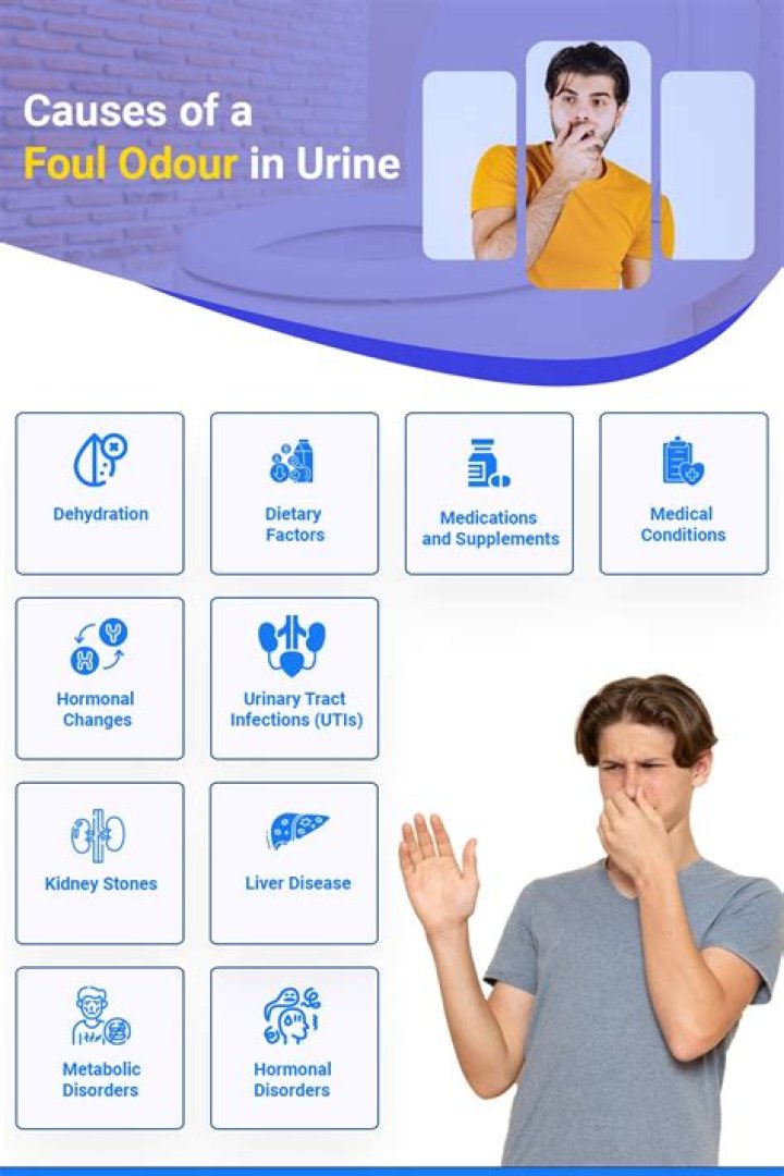 What is the normal odor of urine?