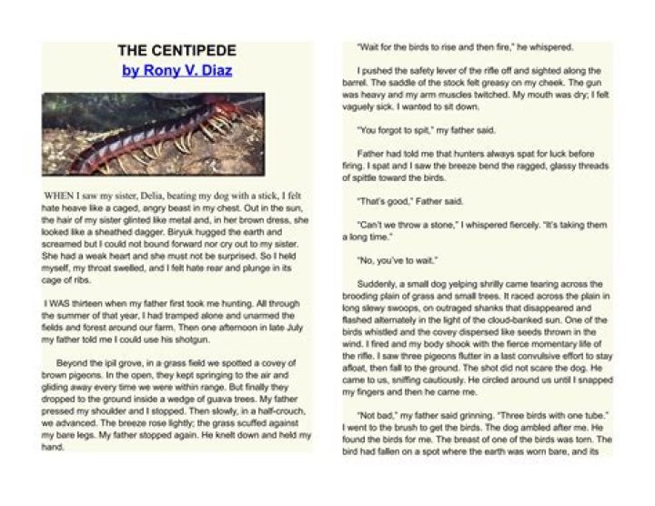 What is the plot of the centipede by Rony Diaz?