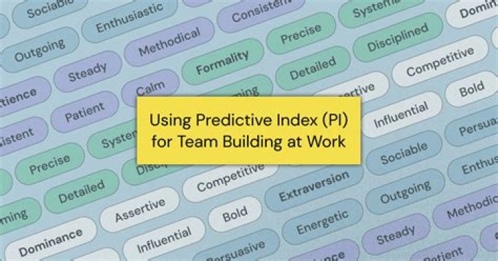 What is the predictive index tool?