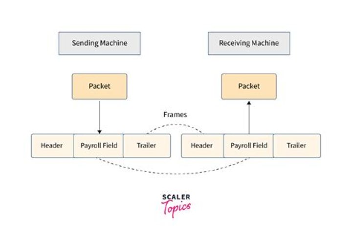 What is the process of data entry?