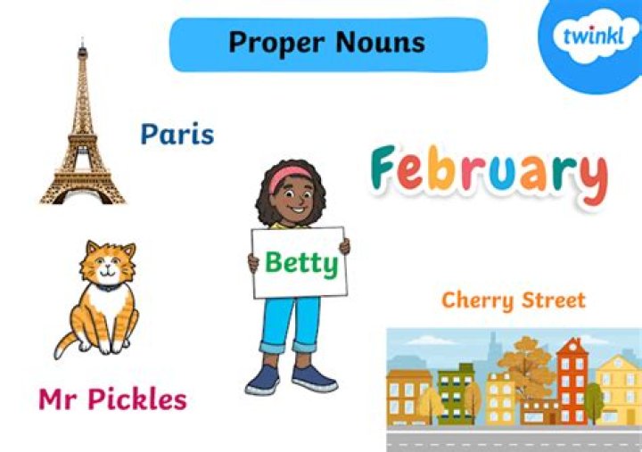 What is the proper name for a daisy?