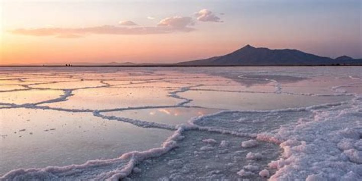 What is the purest salt?