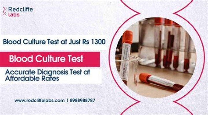 What is the purpose of a climatologist?