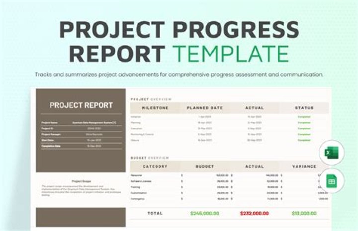 What is the purpose of a progress report?