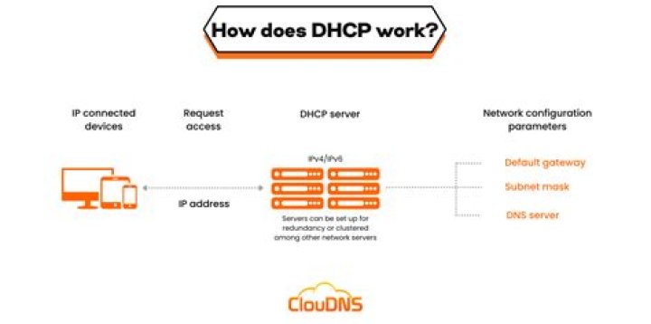 What is the purpose of DHCP and why is it important?