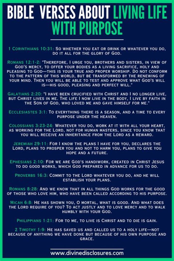 What is the purpose of MIB in insurance?