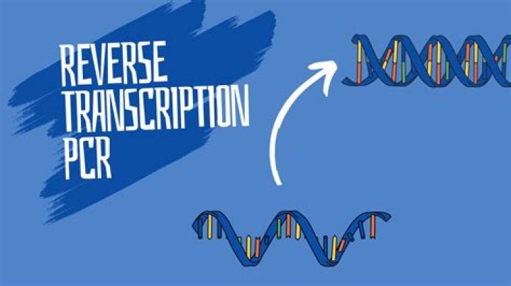 What is the purpose of reverse transcription?