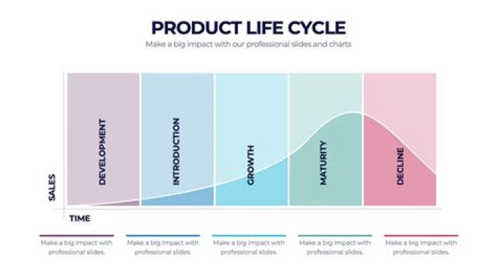What is the purpose of the product life cycle?