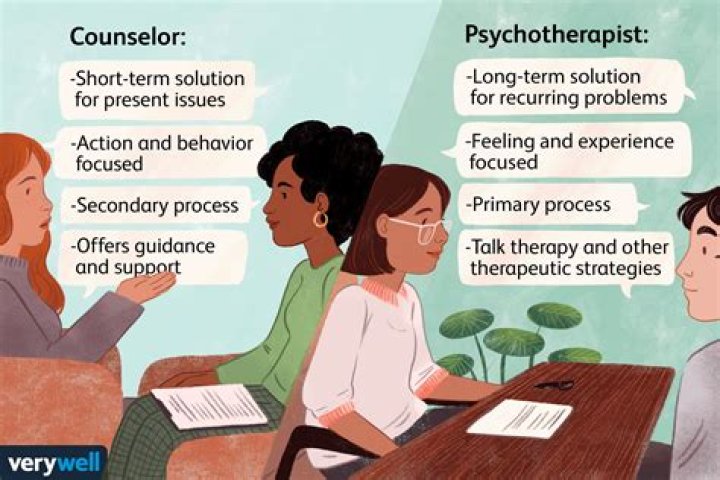 What is the role of a counsellor?