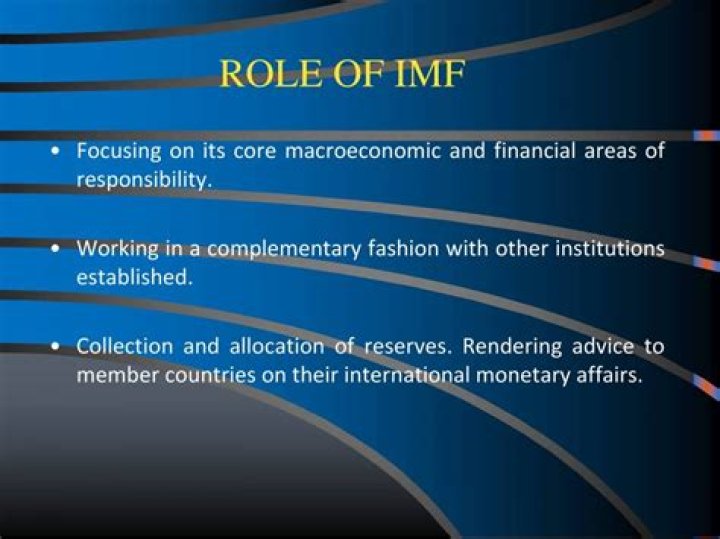 What is the role of IMF in international business?