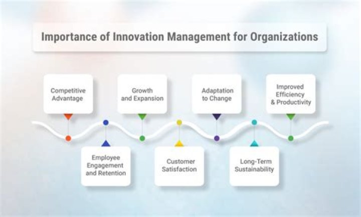 What is the role of innovation in management and business cycle processes?