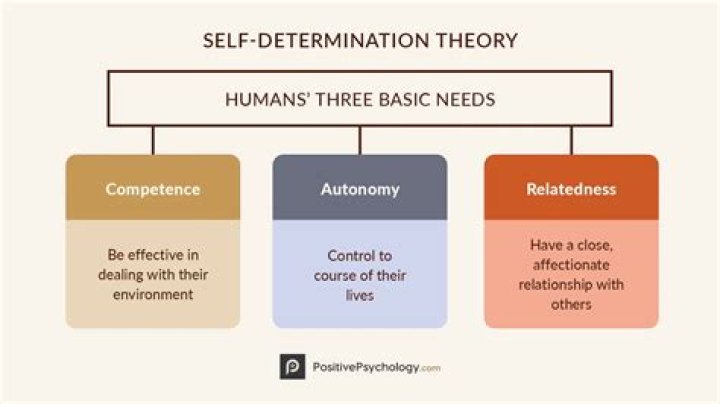 What is the self-determination theory article?