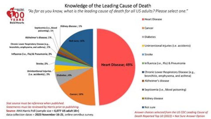 What is the third leading cause of on the job deaths?