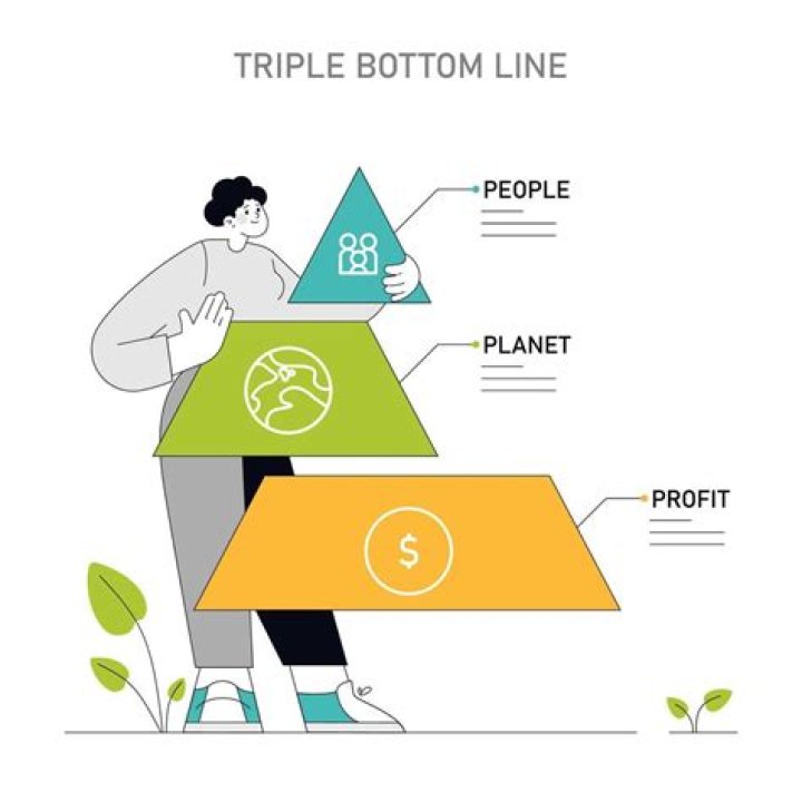 What is the triple bottom line concept?