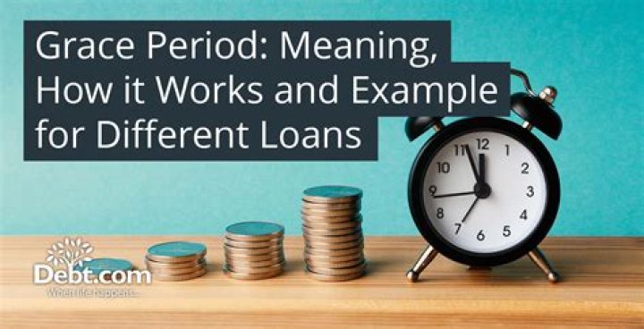 What is the typical grace period for a student loan?