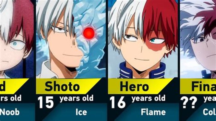 What is Todoroki's hero name?
