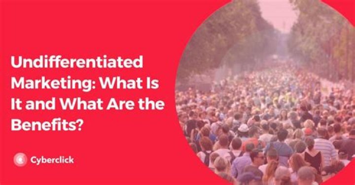 What is undifferentiated marketing example?