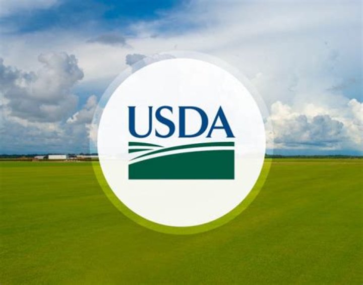 What is USDA home program?
