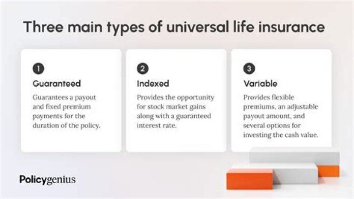 What is variable universal life insurance policy?