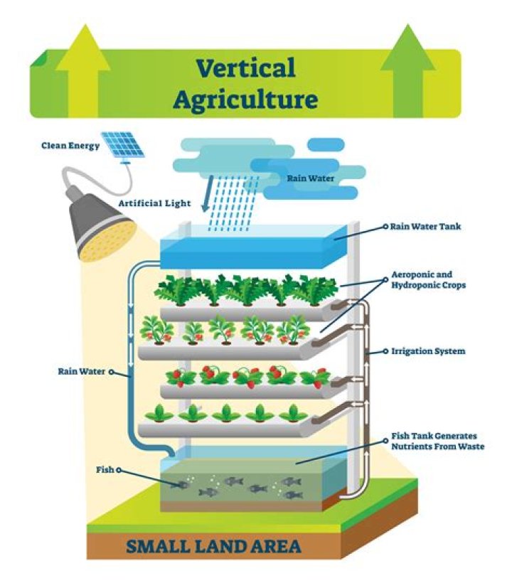 What is vertical farming India?