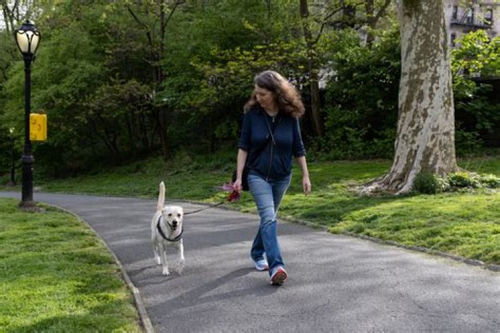 What is walking the dog slang for?