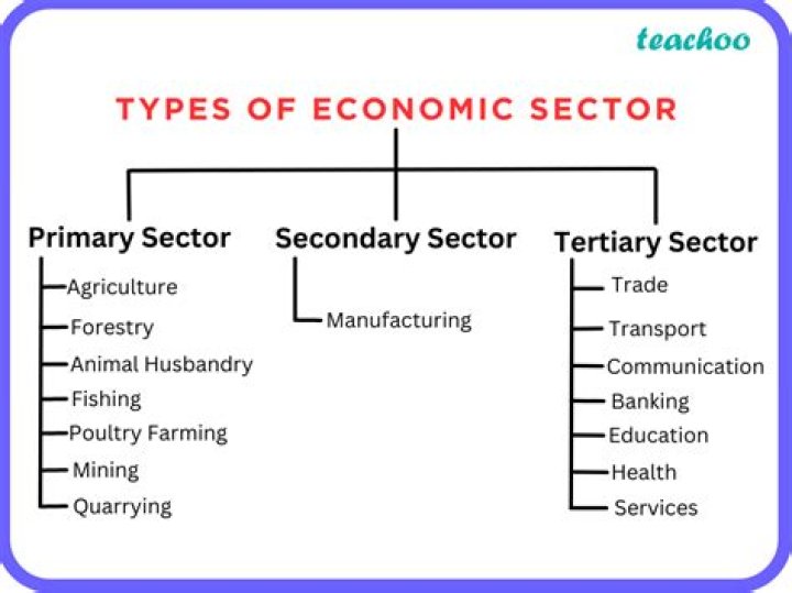 What jobs are in the tertiary sector of the economy?