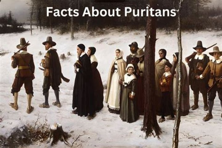 What jobs did the Puritans have?