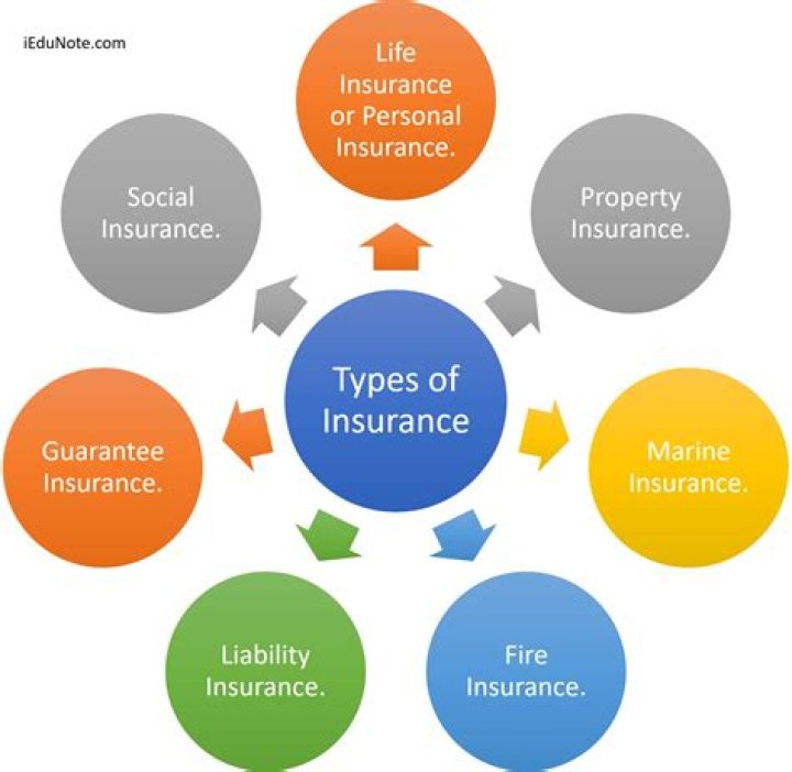 What kind of insurance does AIG provide?