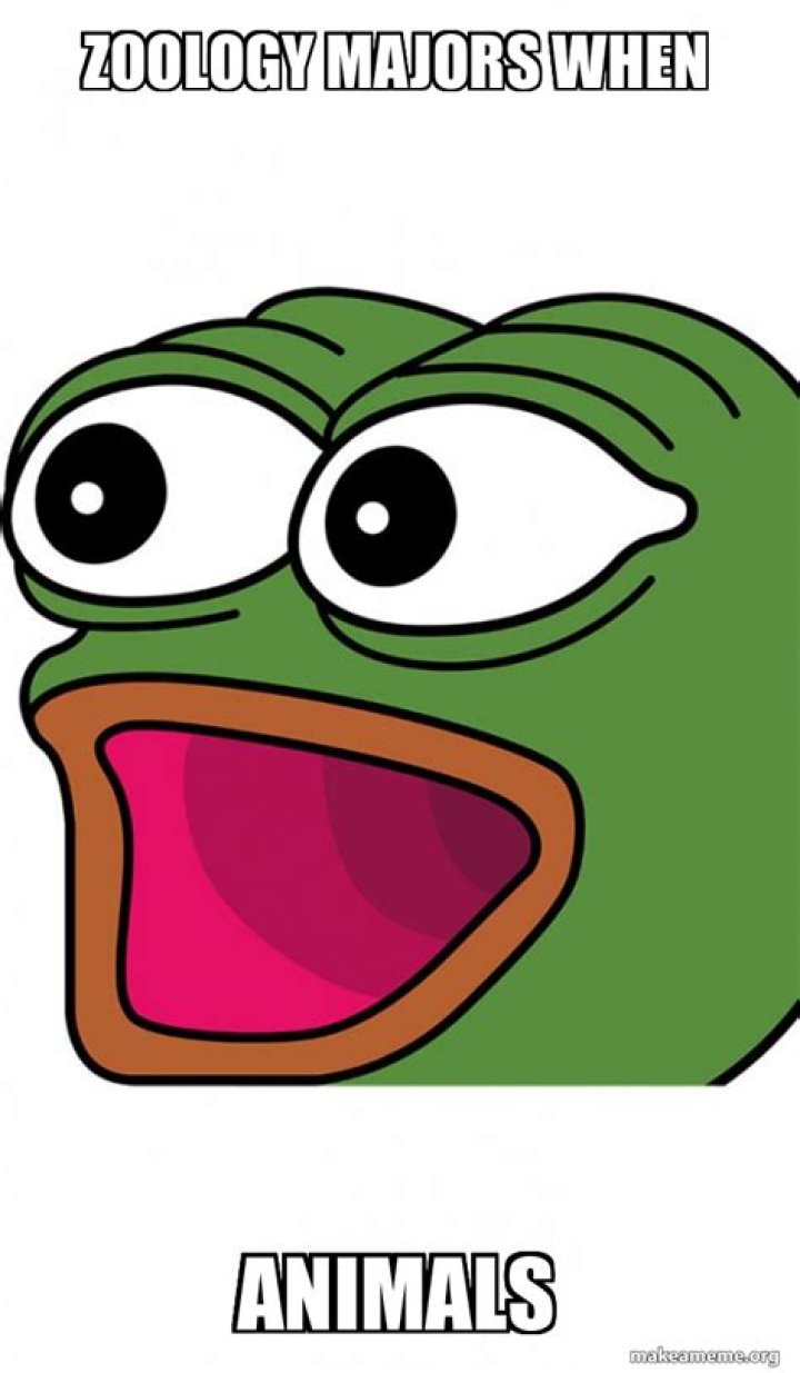 What majors involve animals?