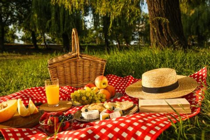 What makes a good picnic?