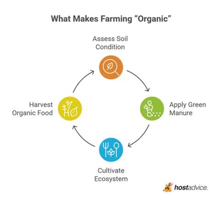 What makes farming successful?