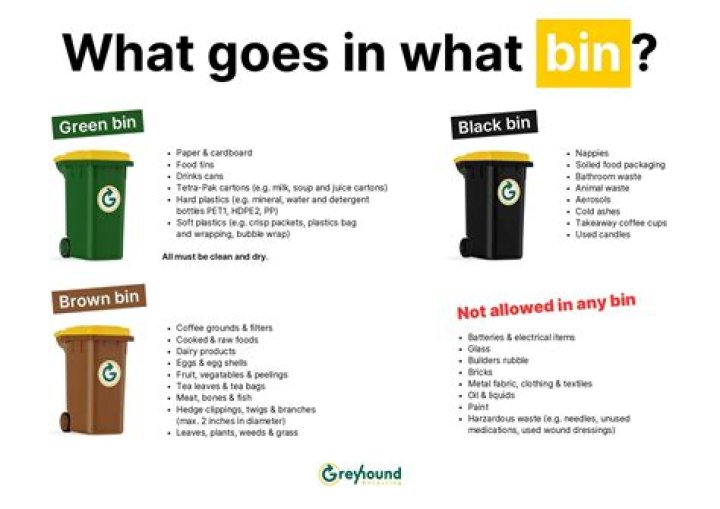 What minor goes well with business management?