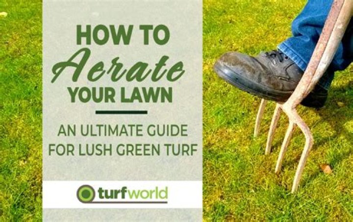 What month should you aerate lawn?
