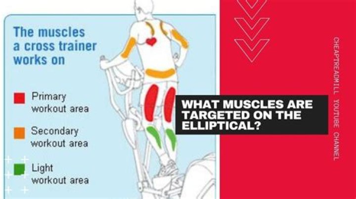 What muscles does the elliptical work?