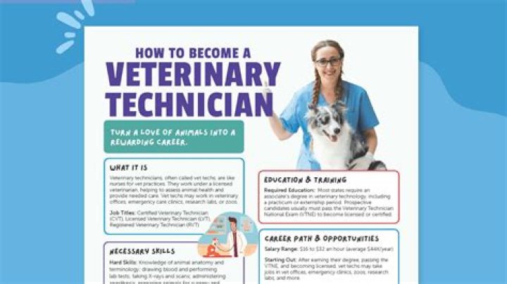 What options should I take if I want to be a vet?